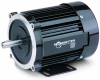 Bodine Electric Motor